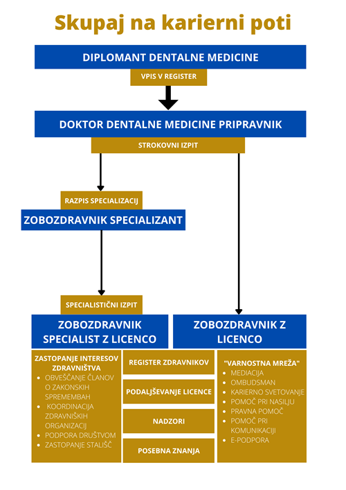Karierna pot zobozdravnica/zobozdravnik Karierna pot zobozdravnica/zobozdravnik